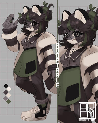 Raccon