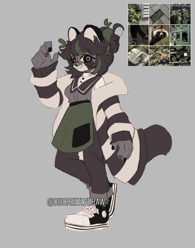 Raccon Sketch
